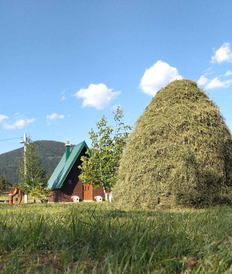 Chalet Etno Koliba Nikoleta Žabljak